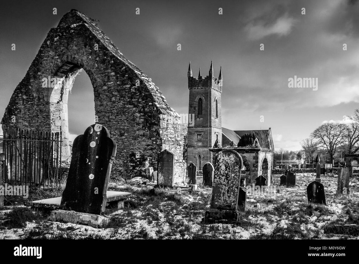 How Old Is Inosuke Hashibira In Fire Force?